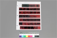 藏品(135彩色負片B-7-38)的圖片